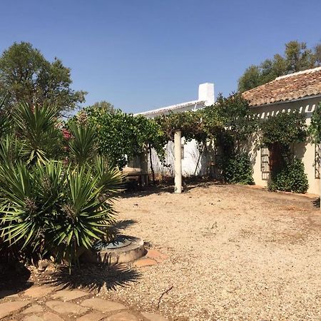 فِياروبليذو Casa Rural La Navarra المظهر الخارجي الصورة