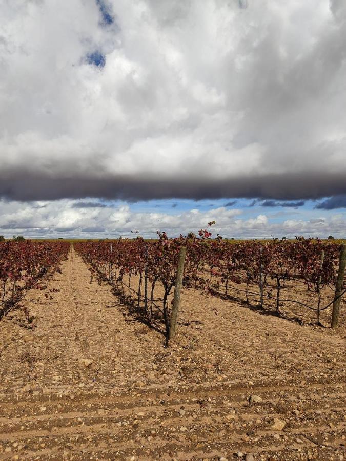 فِياروبليذو Casa Rural La Navarra المظهر الخارجي الصورة