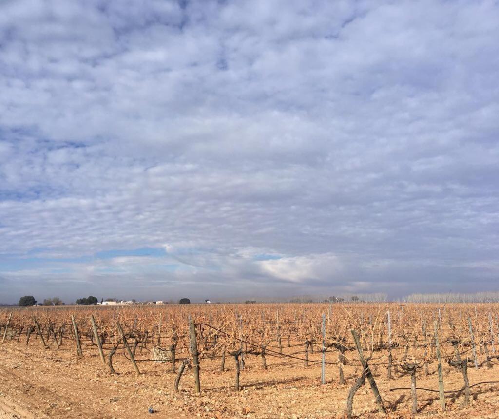 فِياروبليذو Casa Rural La Navarra المظهر الخارجي الصورة