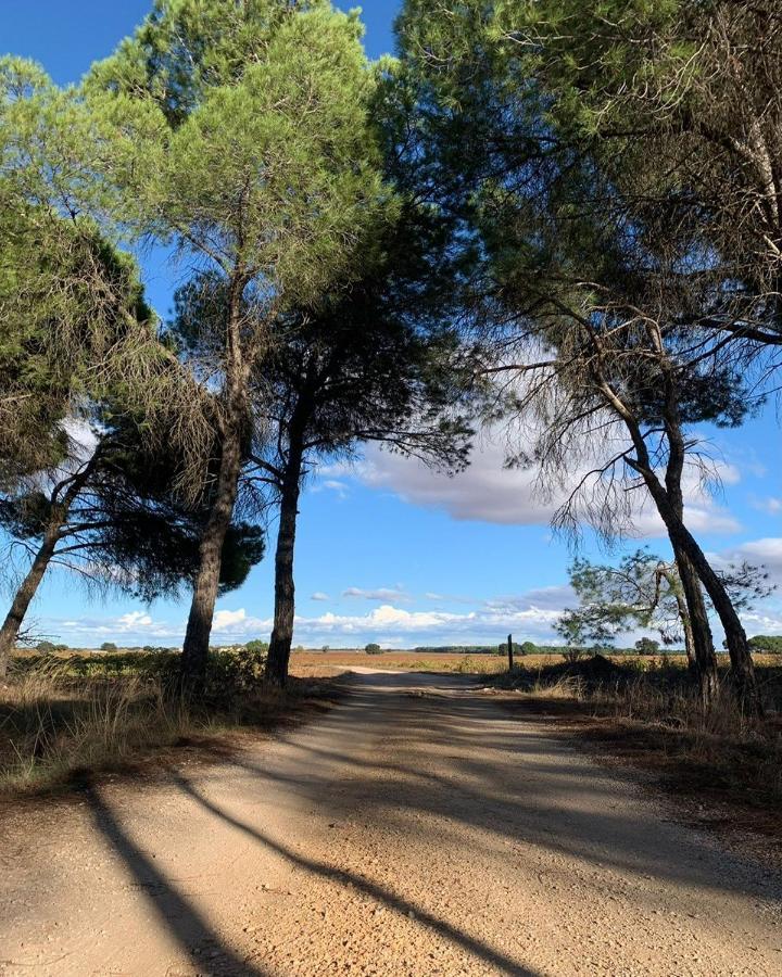 فِياروبليذو Casa Rural La Navarra المظهر الخارجي الصورة